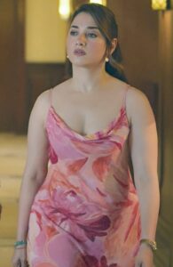 escorts in Royal Inn Hotel Karachi